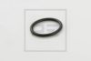 PE Automotive 011.223-00A Seal Ring